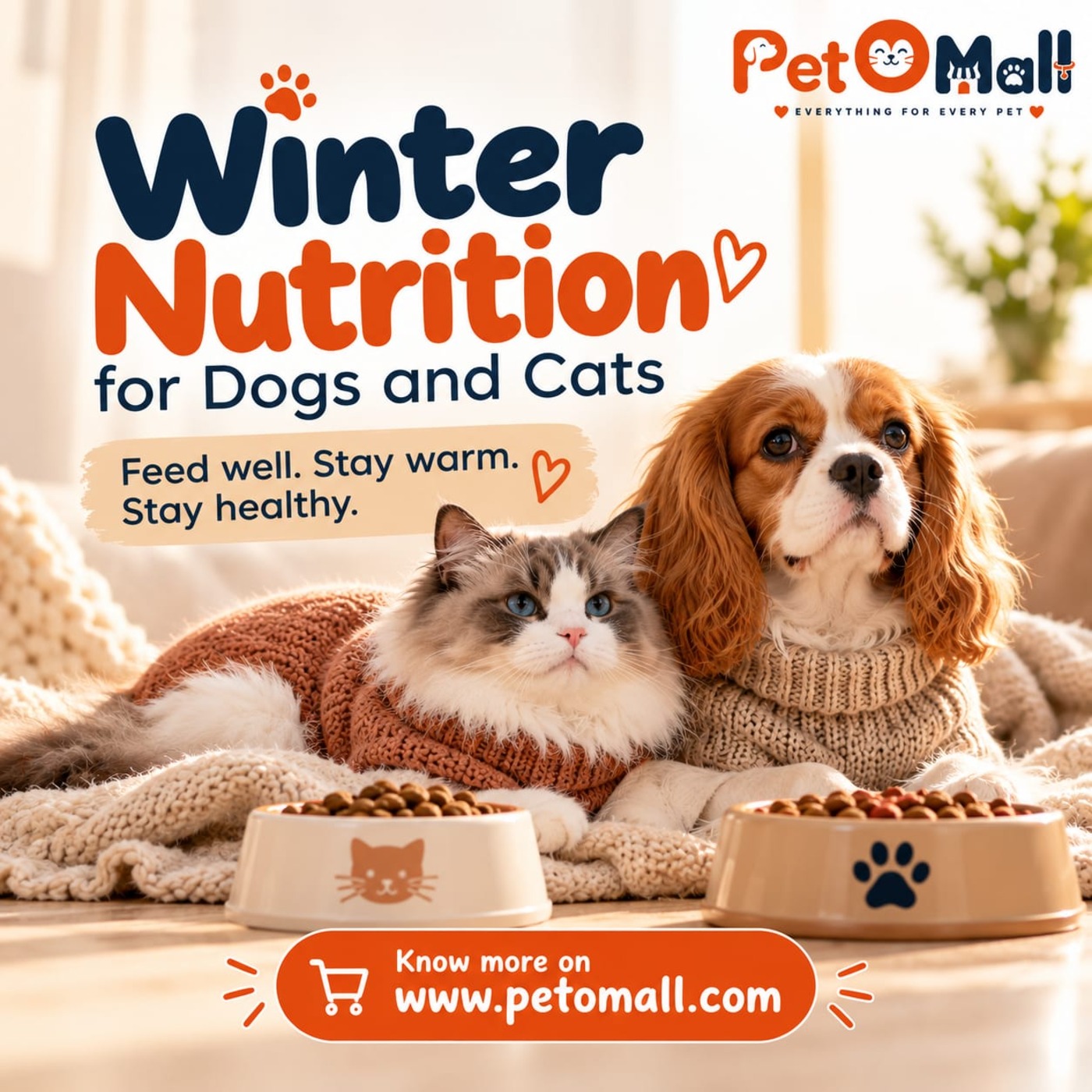 Healthy winter food options for dogs and cats