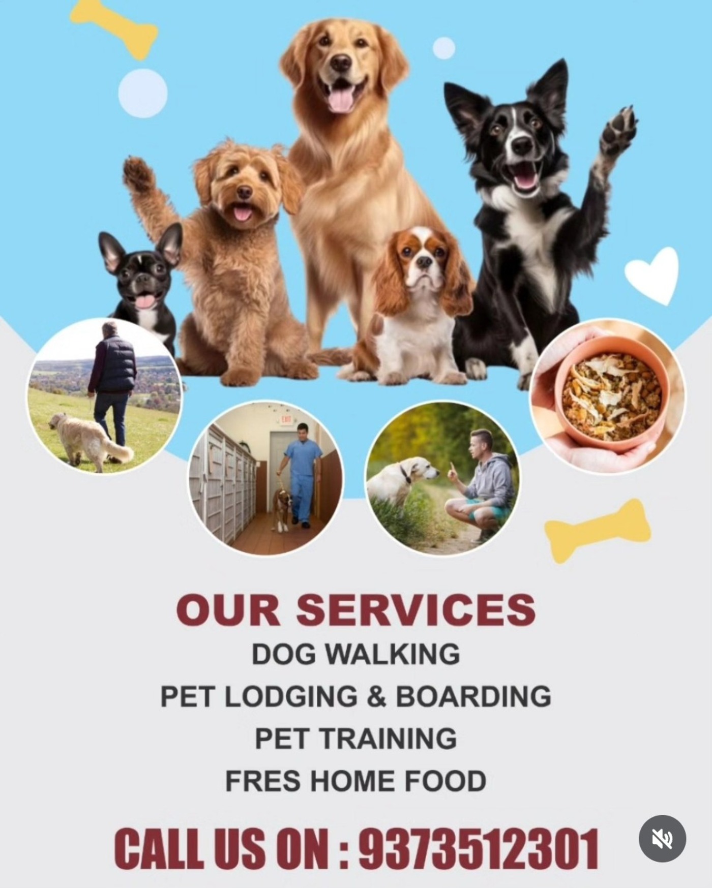 PHOENIX K9 SERVICES  — dog training in Pune