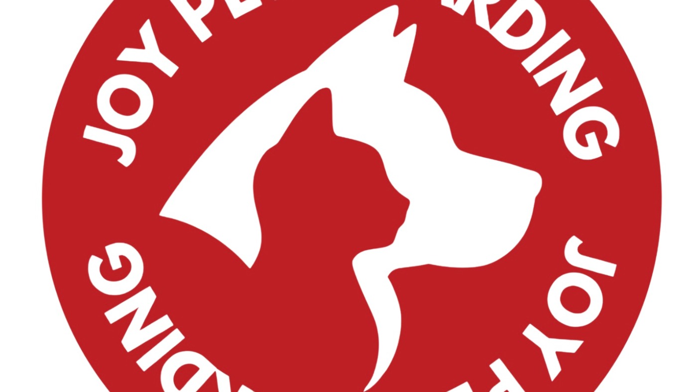 Joy Pet Boarding Kharghar - cat boarding and dog boarding — pet boarding in Mumbai