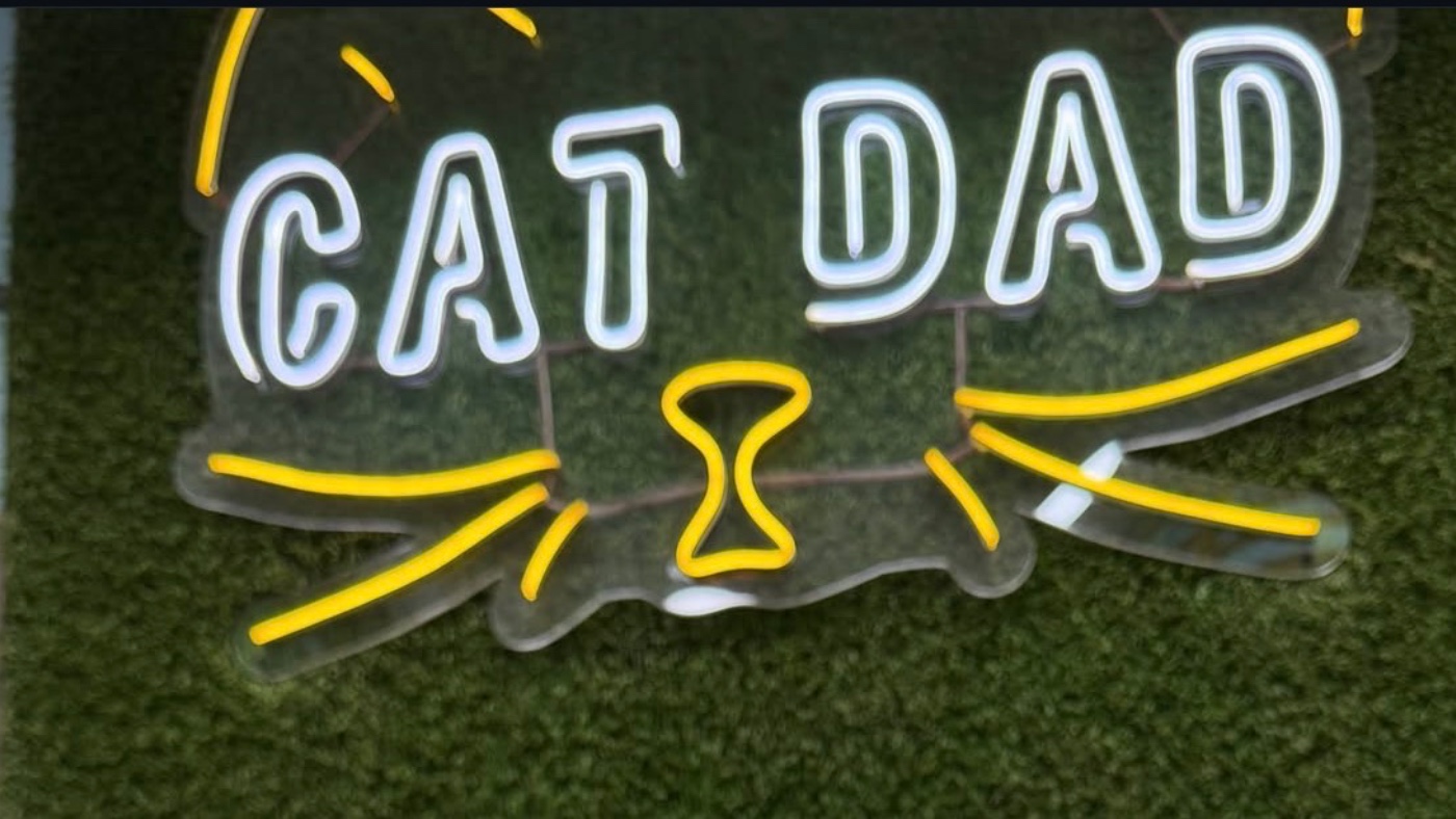 Cat Dad — pet boarding in Navi Mumbai