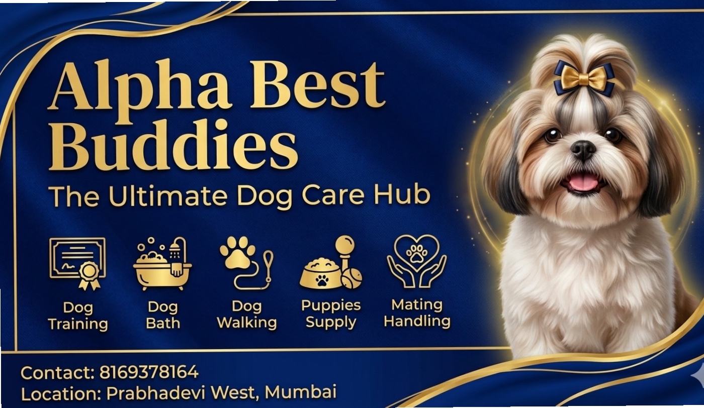 Alpha best buddies — pet boarding in Navi Mumbai