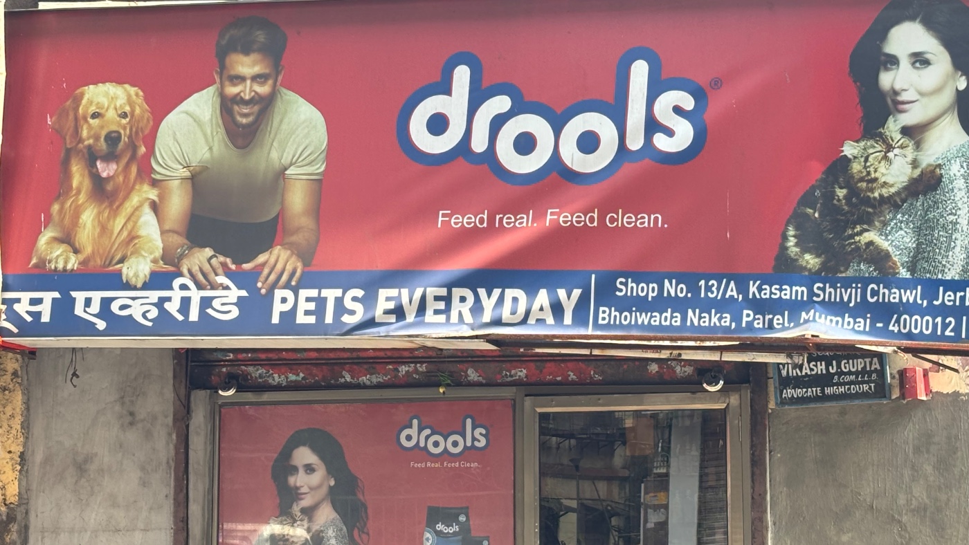 Petseveryday — pet boarding in Navi Mumbai