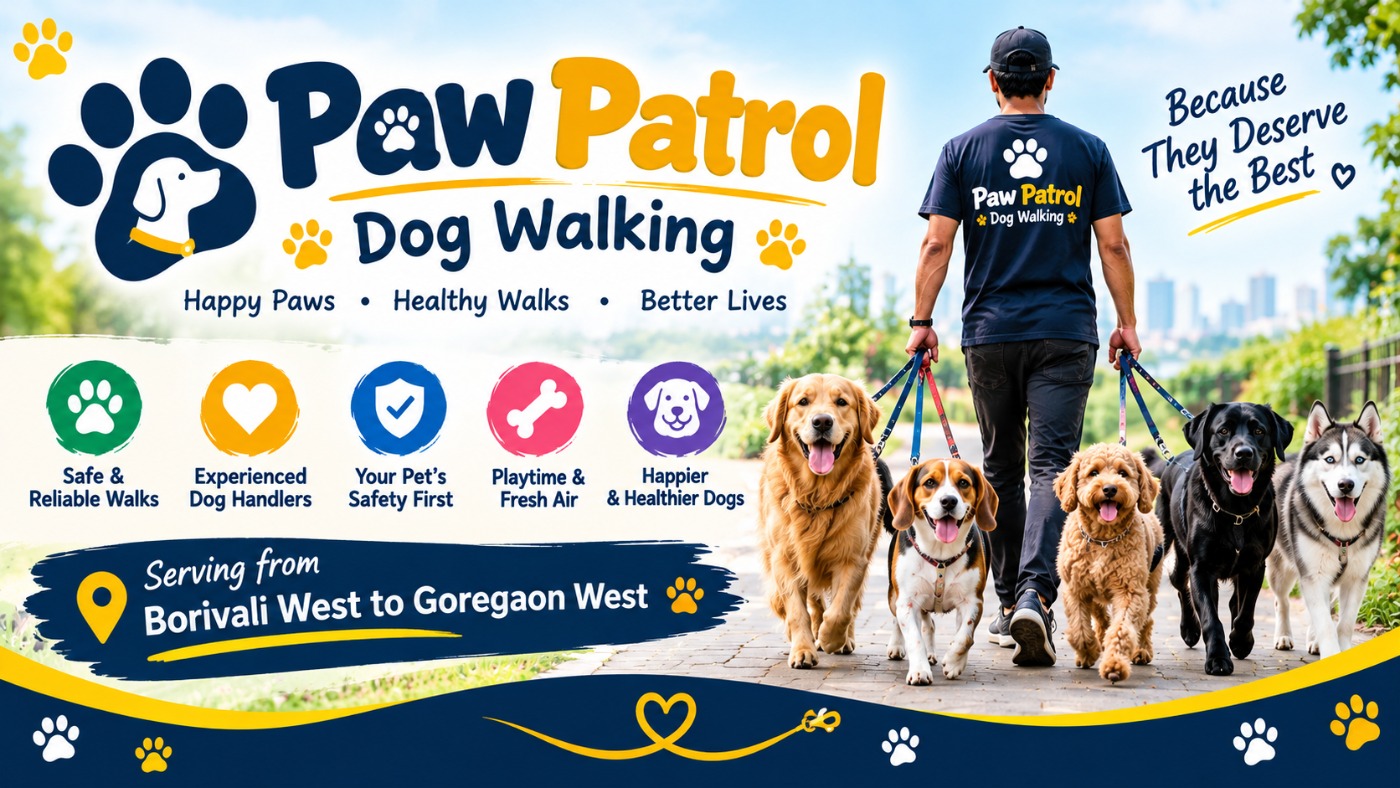 Paw Patrol — dog walking in Bengaluru