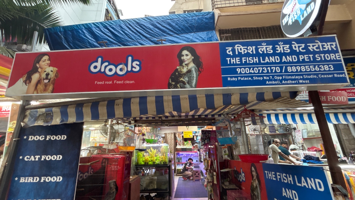 The Fish land — pet shops in Navi Mumbai