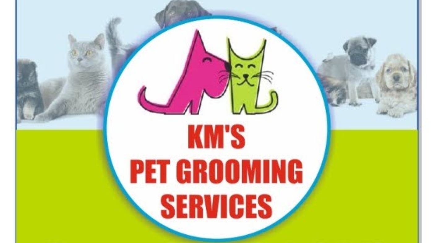 KM's pet grooming service — pet grooming in Pune