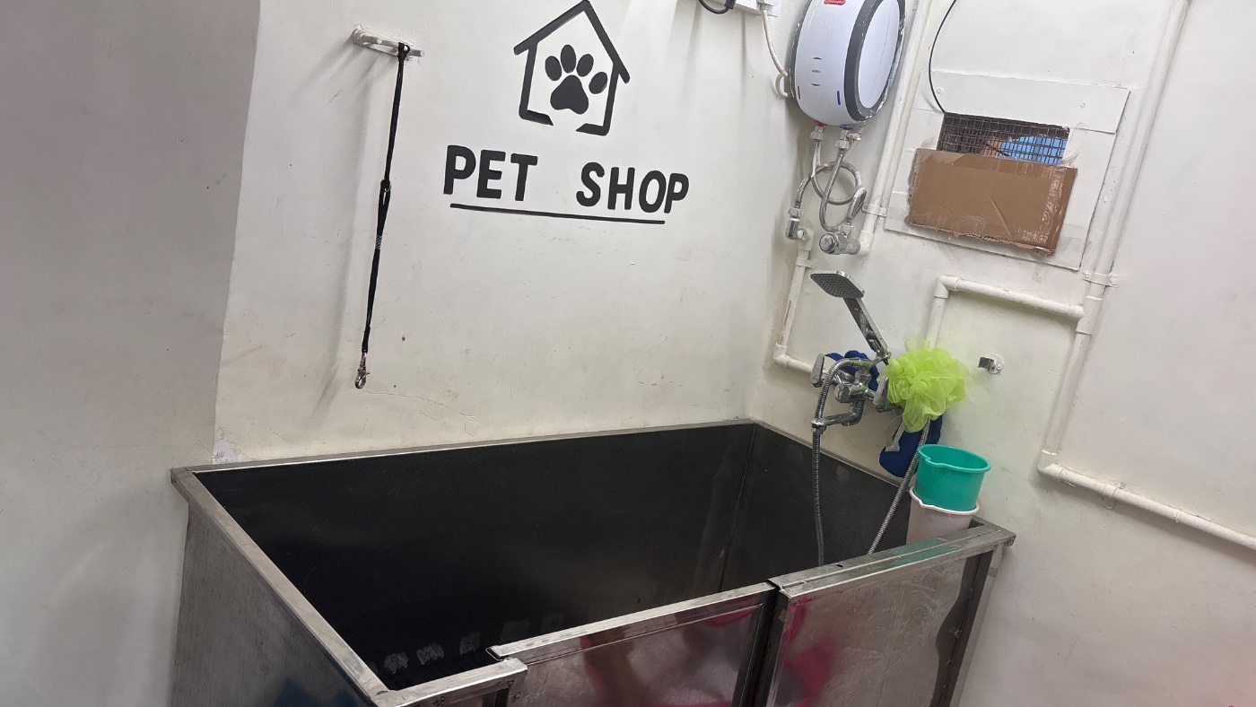 Petology Grooming spa — pet spa in Navi Mumbai